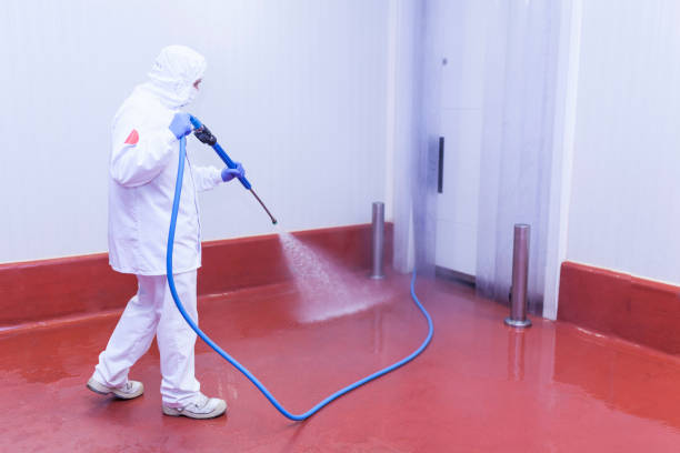 Best Boat and Dock Cleaning  in Stallion Springs, CA